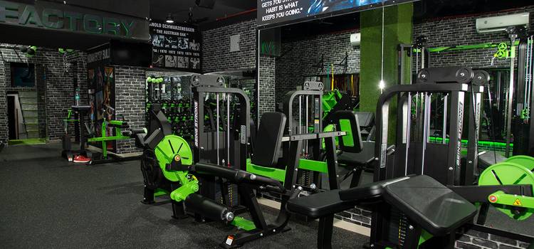 Muscle Factory Gym and Sports-Dahisar East-11607.jpg