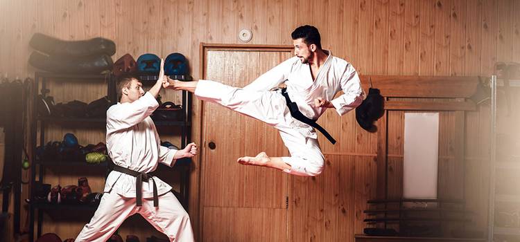 Sanshinkan Martial Arts-Lajpat Nagar-7.jpg?v=0