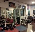 Pro Power Gym-Sector 35-5762.jpg