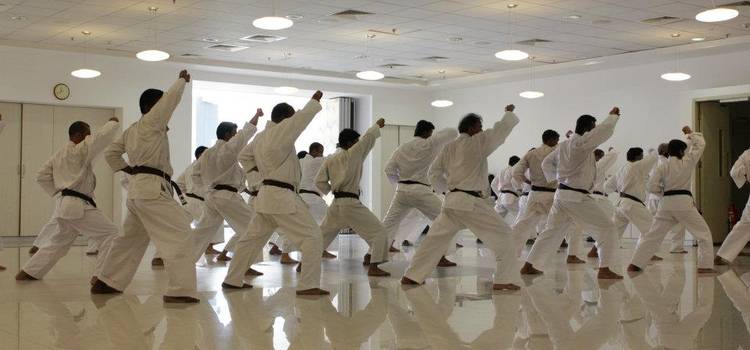 Shotokan Karate Academy of India-Goregaon East-8527.jpg