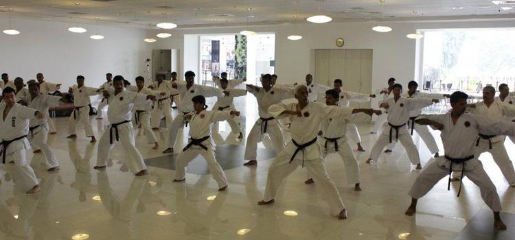 Shotokan Karate Academy of India-Thane-8534.jpg