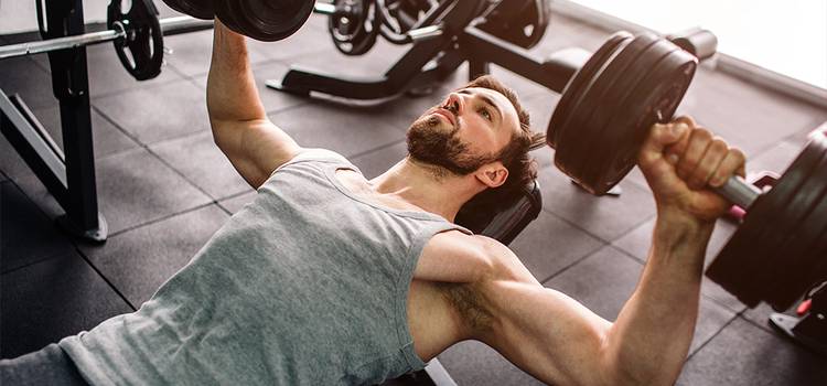 Noida Gym and Fitness Centre-Sector 71-6.jpg?v=0