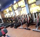 Royal Blue Gym and Spa-Dwarka-9258.jpeg