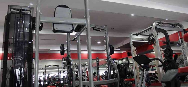 The Bodyline Gym-Gurgaon Sector 5-4357.jpg