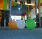 Emerge Fitness-Jayanagar 6 Block-351.jpg