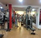 Iron Bull-Gomti Nagar-6218.jpg