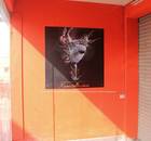 Xavier's Dance Studio-Ramamurthy Nagar-1621.jpg