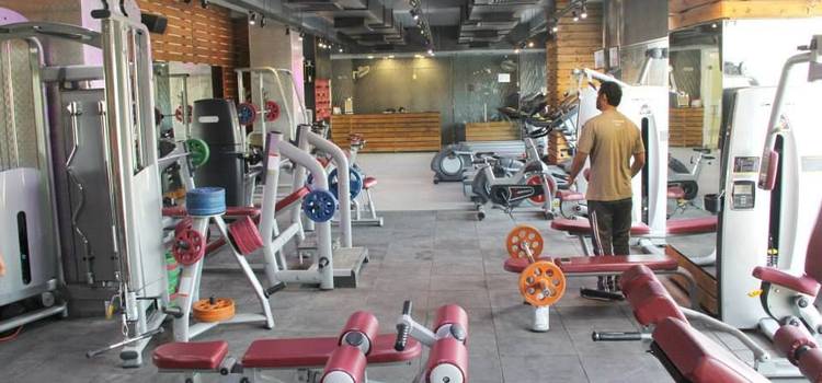 The Gym Health Planet-Gurgaon Sector 14-2902.jpg