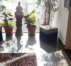 Akshar Power Yoga Academy-Koramangala-9780.jpg