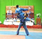 Vovinam Association Of India-Hardoi By Pass Road-6411.jpg