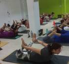 Wellness Power Yoga-Mahanagar-6216.jpg