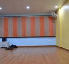 Show Stoppers Dance Academy-Sector 37-5854.jpg