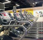 Gold's Gym-Malleswaram-2119.jpg