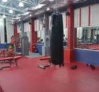 Alchemist Fitness Center-Gomti Nagar-6183.jpg