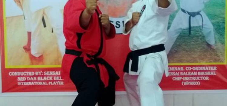 Abin Karate & Kick Boxing Institute-DLF Phase 3-7043.jpg