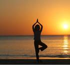 YOGIS ACADEMY-Devanahalli-5332.jpg