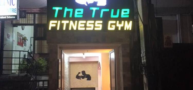 The True Fitness Gym-Vaishali Nagar-7317.jpg
