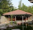 Iyengar Yoga Yogakshema-New Delhi-6763.jpg