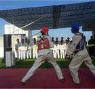 Korean Combat-Juhu-3601.JPG