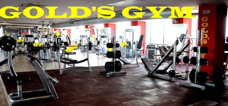 Gold's Gym-Adyar-4809.jpg