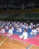 Colt Karate-Velachery-5463.JPG