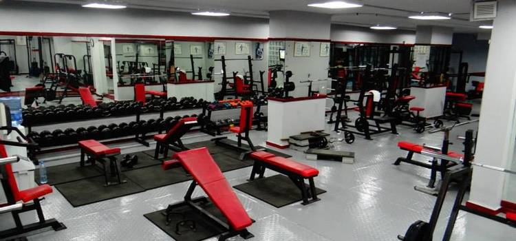 The Bodyline Gym-Gurgaon Sector 5-4359.jpg