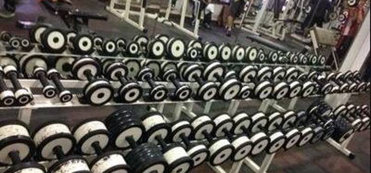 Fitness Hub Gym-Worli-4206.jpg