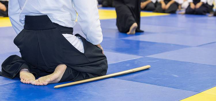 Sterling Taekwondo Asso.-Chattarpur-1.jpg?v=0