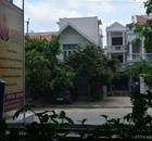 Yoga Wellness Centre-Kasturi nagar-1720.jpg