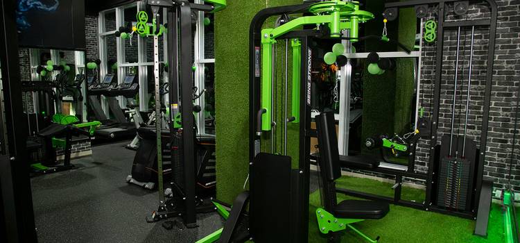 Muscle Factory Gym and Sports-Dahisar East-11608.jpg